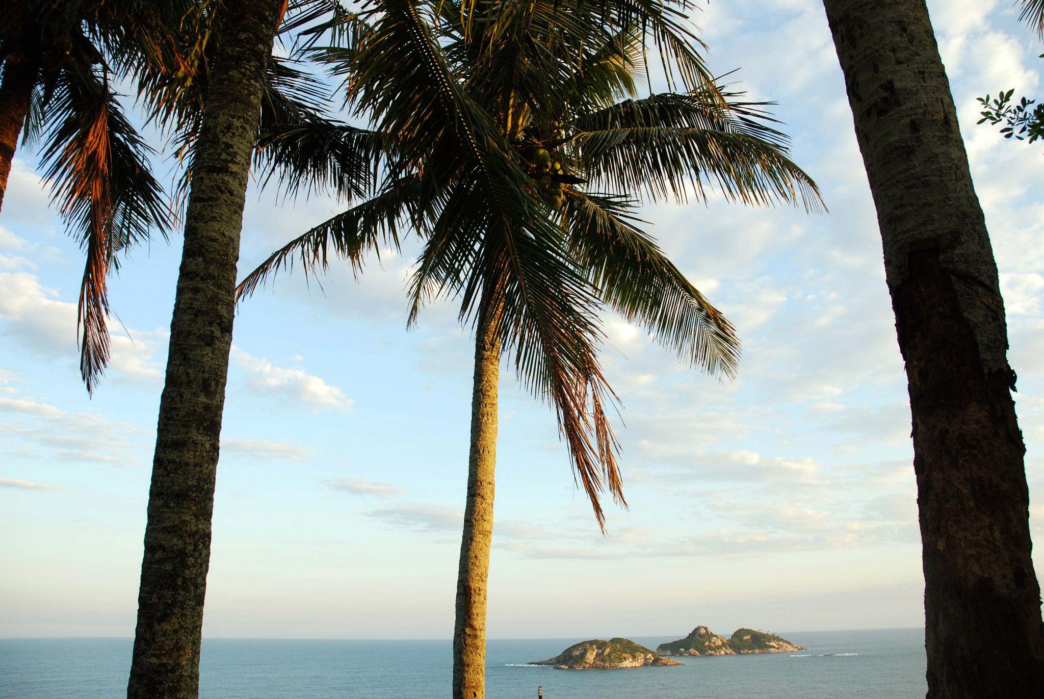 Hospedagem domiciliar Cliffside - Boutique & Rio de Janeiro